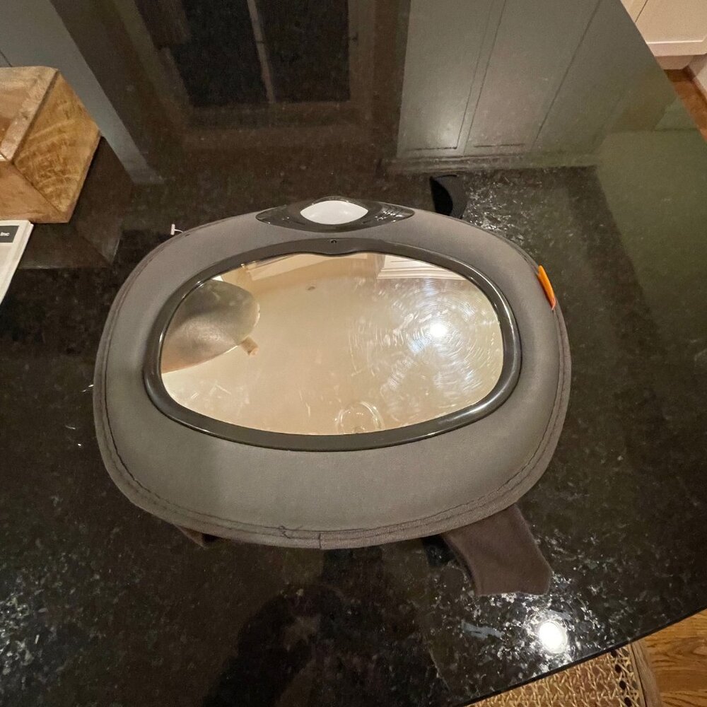 Brica Back Seat Mirror for Kids